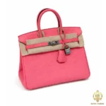 Hermes Birkin 25 Togo Leather