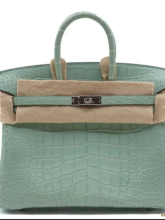 Hermes Birkin 25 Vert D’eau Matte Alligator PHW