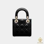 Lady Dior Mini Bag back