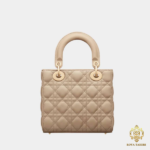 Lady Dior Small bk