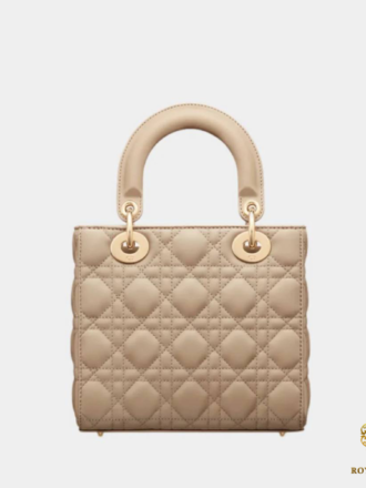 Lady Dior Small bk